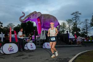 BIB: 
                            <button type="button" onclick="openModal(26529557)" class="btn btn-primary btn-sm float-right btn-popup" data-toggle="modal" data-target=".modal-high-quality">
                        <i class="fas fa-shopping-cart"></i> Add to Cart
                    </button>
                                            <button type="button" onclick="isThisMe(26529557, true)" class="btn btn-success btn-sm float-right btn-popup btn-isme hidden" data-toggle="tooltip" data-placement="bottom" title="นี่คือรูปของคุณใช่ไหม คลิกที่นี่เพื่อเอาเข้าอัลบั้ม">
                        <i class="fas fa-plus"></i> Add to album
                    </button>
                    <button type="button" onclick="isThisMe(26529557, false)" class="btn btn-warning btn-sm float-right btn-popup btn-isnotme hidden">
                        <i class="fas fa-ban"></i> Remove from album
                    </button>